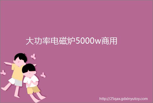 大功率电磁炉5000w商用